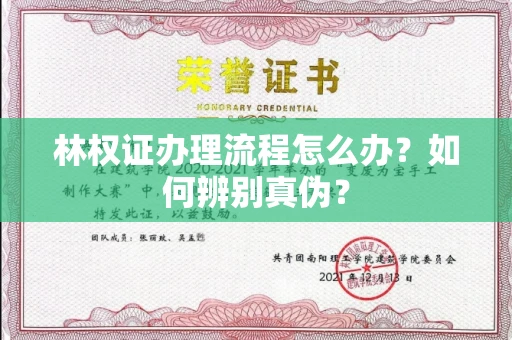 南宁林权证办理流程怎么办?如何辨别真伪?