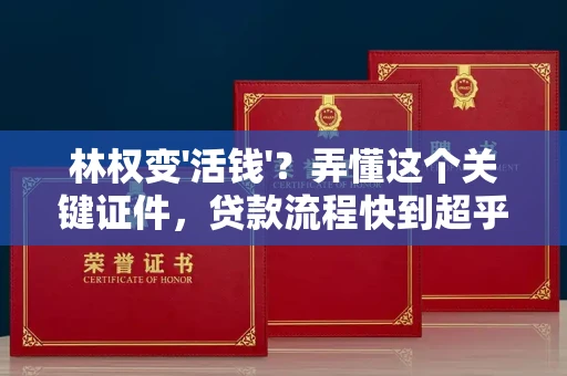 南宁林权变'活钱'?弄懂这个关键证件,贷款流程快到超乎想象!