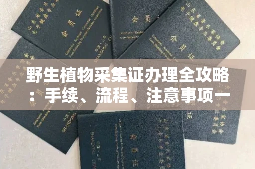 南宁野生植物采集证办理全攻略:手续、流程、注意事项一网打尽